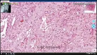 Digital Pathology Slide Scanner MSLDSS01 Professional medical device operation