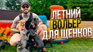 ПИТБУЛИ! ЛЕТНИЙ ВОЛЬЕР ДЛЯ ЩЕНКОВ