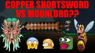 Can I beat Terarria with only a Copper Shortsword?