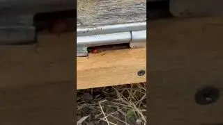 Проникновение к чужим.