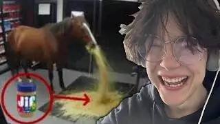 My Viewers Send Me Memes For 