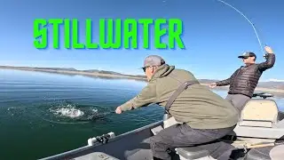 STILLWATER Trout Fishing