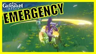 Emergency - Genshin Impact