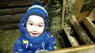 Режем поросенка. Выхаживаем Бусинку.