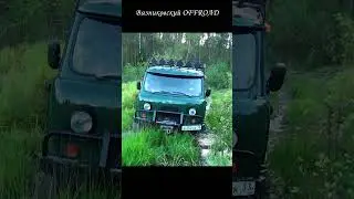 Уаз 452 буханка на Сафари 500 прет по затопленной колее как танк