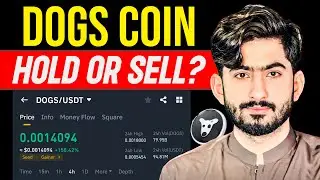 Dogs Coin Sell or Hold  | Dogs Coin Price Will Pump or Not  | Dogs Airdrop Done