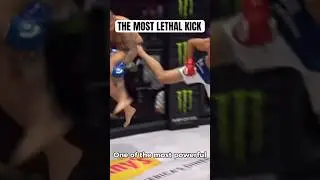 The Most Lethal Kick will surprise you #martialarts #mma #fighthighlights #marlonladd #brucelee