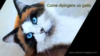 Come dipingere un gatto