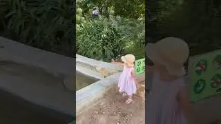 ЧУТЬ НЕ ОПИСАЛАСЬ🙈