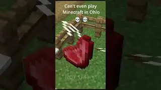 Can't even play Minecraft in Ohio 💀💀