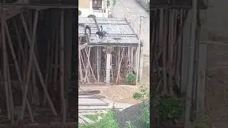 #Rainforcement