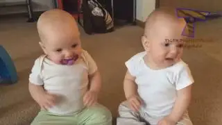 WATCH and TRY TO STOP LAUGHING   Super FUNNY VIDEOS compilation