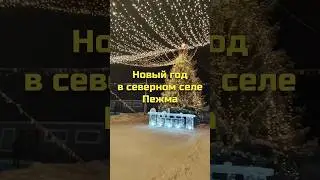 Новый год в северном селе Пежма