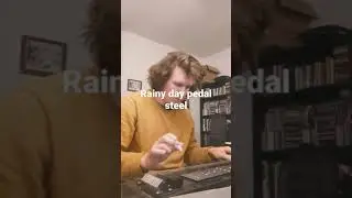 rainy day pedal steel #pedalsteel #reaper #americana #guitar