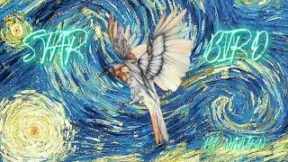 NATURN- STAR BIRD (LIQUID AND DNB)
