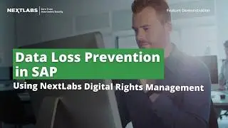 Data Loss Prevention (DLP) in SAP