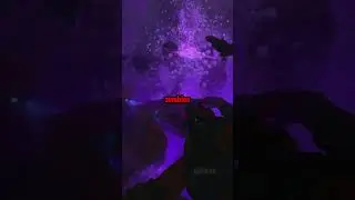 Best Glitch on Every Single Black Ops 2 Zombies Map!