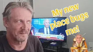 My new place bugs me!
