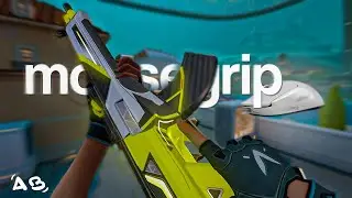 o melhor jeito de segurar o mouse no valorant