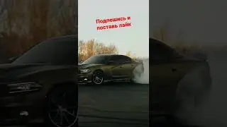 #car #shorts