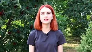 Корочанский район.