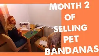 Running a dog bandana business | Month 2 update | Influencer Marketing & 200 follower giveaway