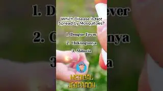 Don't get Bitten, A Mosquito-Borne Disease Jeopardy Quiz