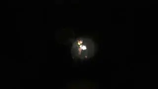 Noone Love You {slowed} - Silent Hill 2 OST (Akira Yamaoka)
