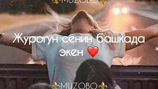 Суйуу ырлары