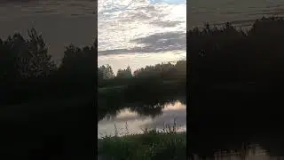 Черный Вир тихий пляж на Десне