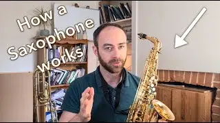 How a Saxophone Works! (the BASICS explained simply)