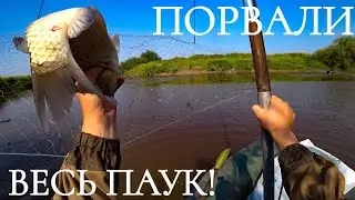 YOU'VE NEVER SEEN SPIDER FISHING LIKE THIS BEFORE!!! SPIDER FISHING 2021