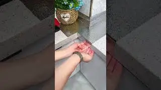 Great work !! #goodthing #You Must Know #viral story #Wonderbot