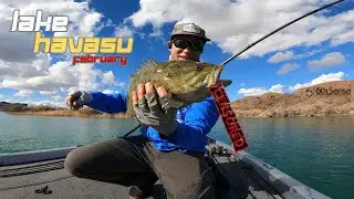 Lake Havasu Fishing in February