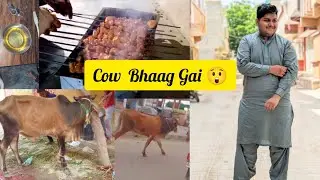 Cow Bhaag Gai? | Qurbani + BBQ Party | Eid ul Adha Vlog 😉