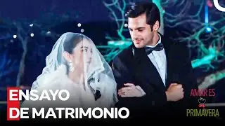 Crónicas De Un Amor Imposible #34 - Amar Es Primavera