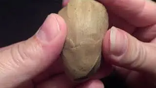 Кукушка - Виктор Цой из  Пластилина