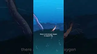 How Do These Deadly Lakes Form on the Ocean Seafloor?