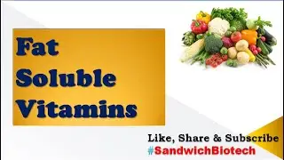 Fat soluble Vitamins