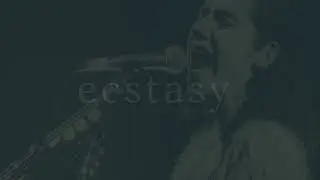 pj harvey - ecstasy (slowed + reverb)
