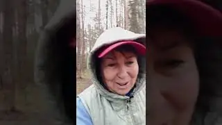 Подарок на серебряной доске Дари Получай во время прогулки #дариполучай #психология  #счастье
