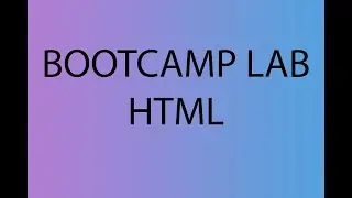 #BOOTCAMP