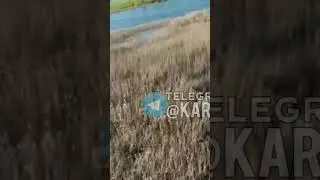 РИБОЮ ПО ДРОНУ! УКРАЇНСЬКІ РИБАЛКИ МАЙЖЕ ЗБИЛИ БПЛА РФ... РИБИНОЮ!