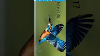 computer में कैसे करे ये सेटिंग?? #pankaj1920