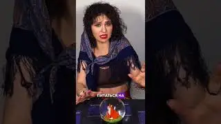 Как завоевать человека через еду, если его Венера в Близнецах!    