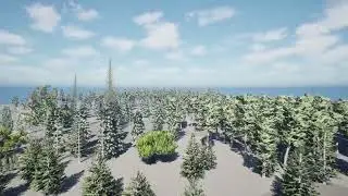 Conifer tree forest 3d pack animation in unreal engine