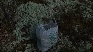 11 октября 2023 г.