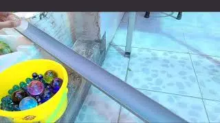 😻Wow😻 | Best Oddly Satisfying Videos | 