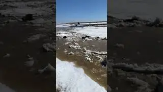 Жылкылар суга кетип жатыр Актобе Костанай Орал
