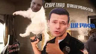 Кульбит Камикадзе: Яшину вручили оружие в борьбе за пост Мэра Москвы